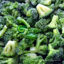 IQF Frozen Broccoli Florets of High Quality